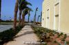 Campus El Gouna 0089